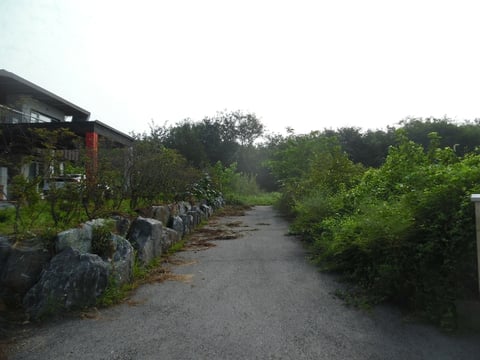 물건 사진 25