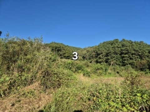물건 사진 2
