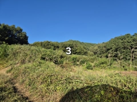 물건 사진 3