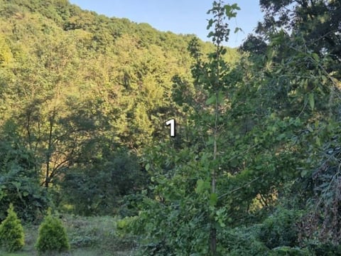 물건 사진 4