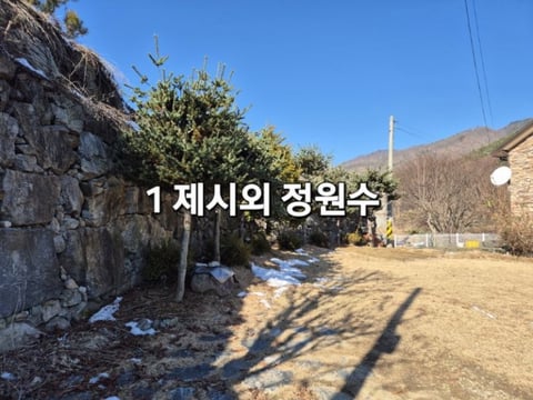 물건 사진 1
