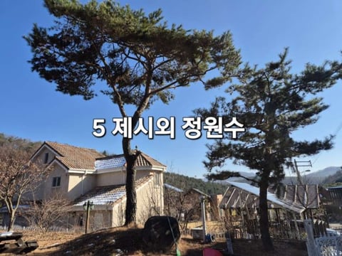 물건 사진 12