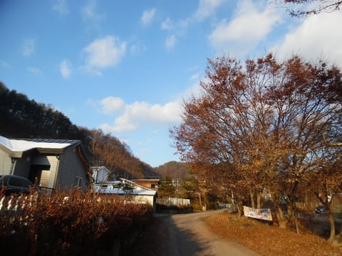 물건 사진 16