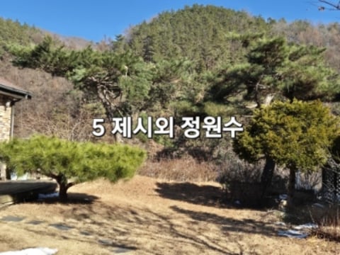물건 사진 10