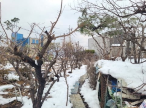 물건 사진 8