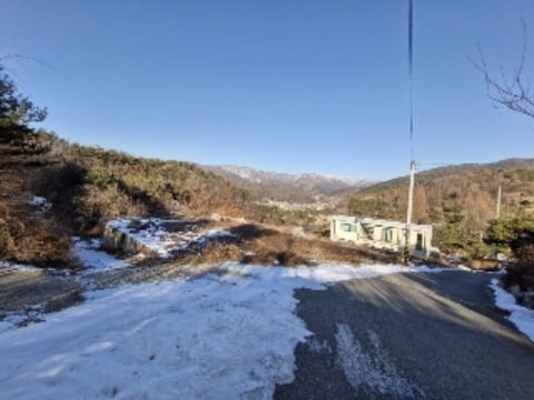 물건 사진 1