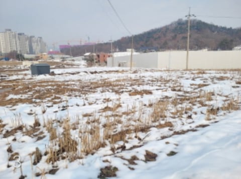물건 사진 10