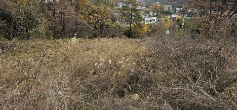 물건 사진 16
