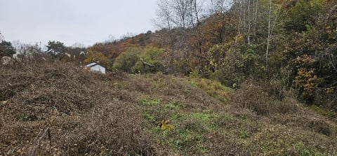 물건 사진 12