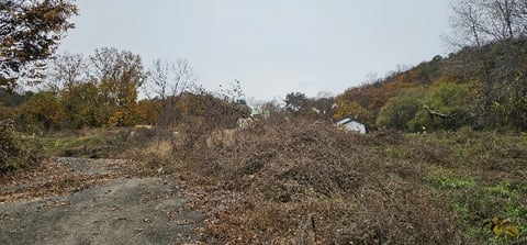 물건 사진 15
