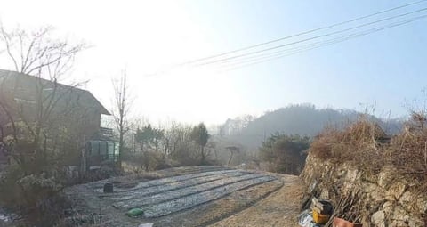물건 사진 17