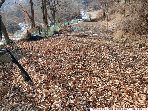 물건 사진 11