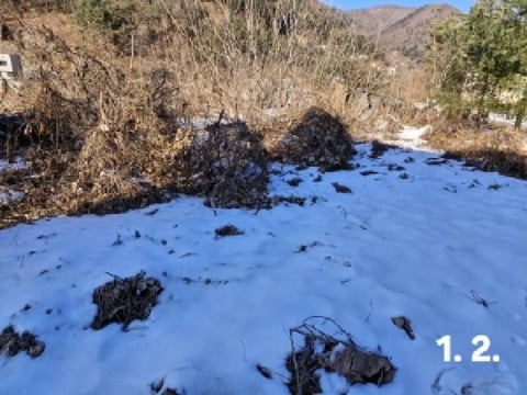 물건 사진 2