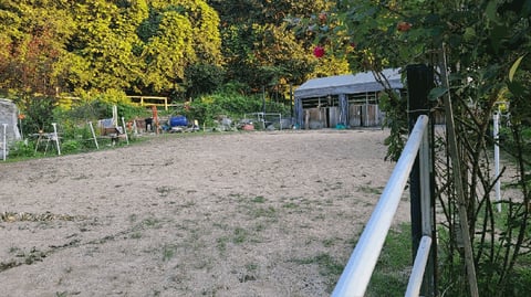 물건 사진 9