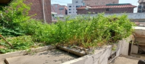 물건 사진 13
