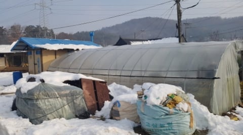 물건 사진 1