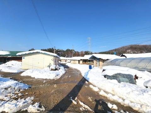 물건 사진 28