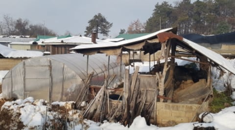 물건 사진 5