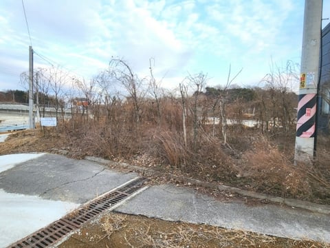 물건 사진 24