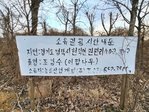 물건 사진 33