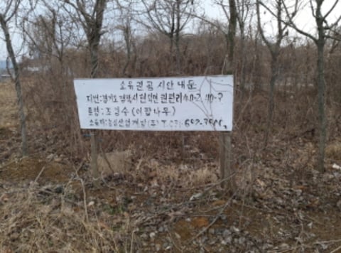 물건 사진 8