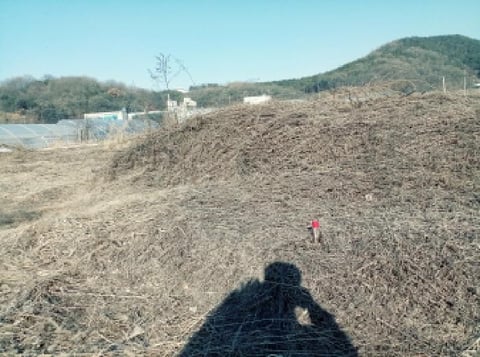 물건 사진 4