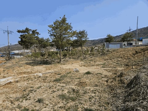 물건 사진 11