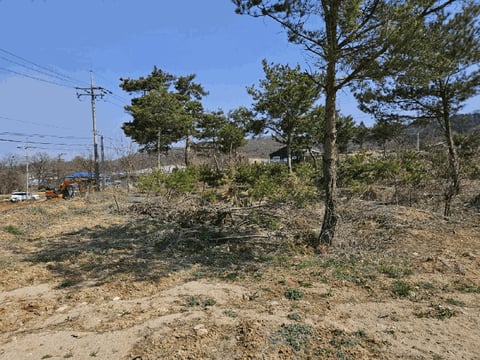 물건 사진 13