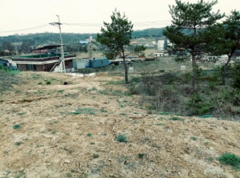 물건 사진 8