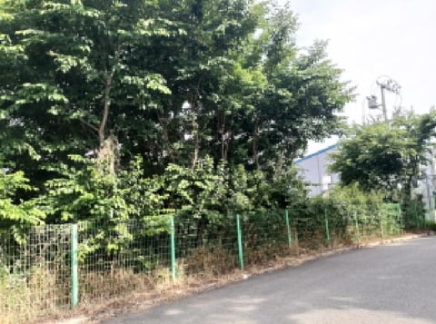 물건 사진 5