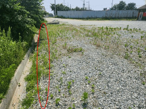 물건 사진 23
