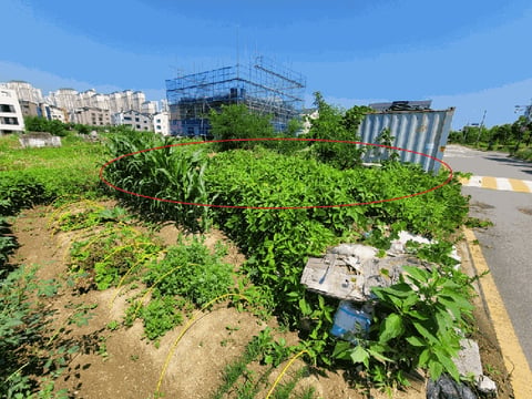 물건 사진 21