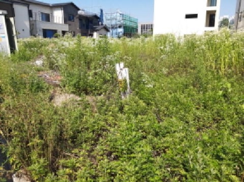 물건 사진 7