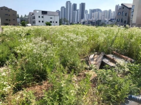 물건 사진 8