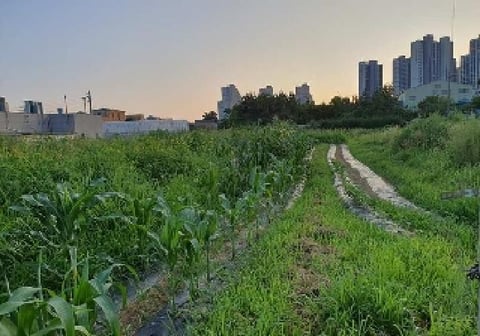 물건 사진 22