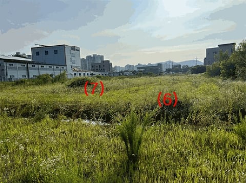 물건 사진 35