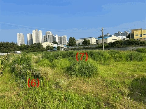 물건 사진 36