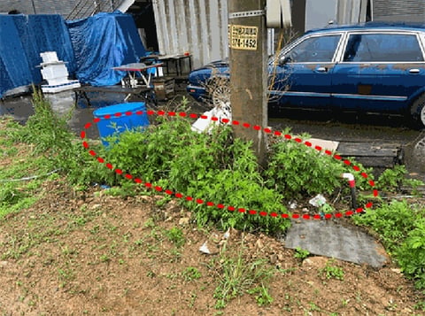 물건 사진 46