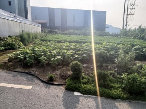 물건 사진 14