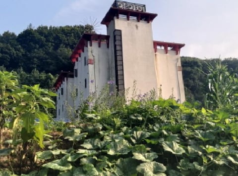 물건 사진 3
