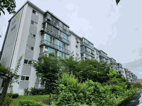 물건 사진 13