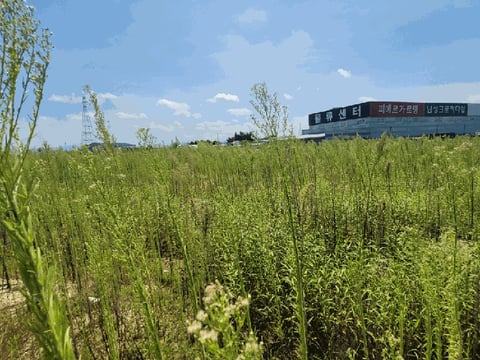 물건 사진 32
