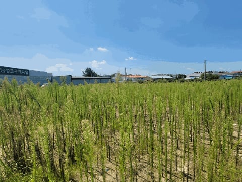 물건 사진 52