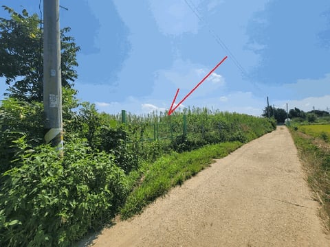 물건 사진 51