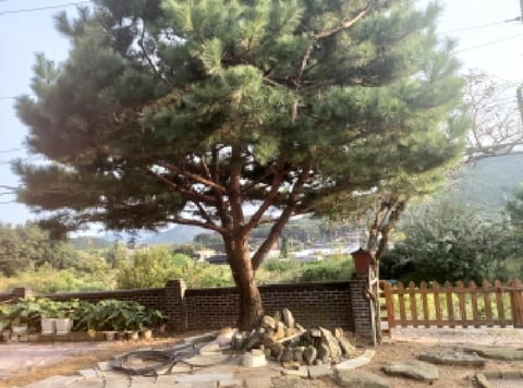 물건 사진 19