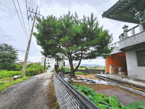 물건 사진 32