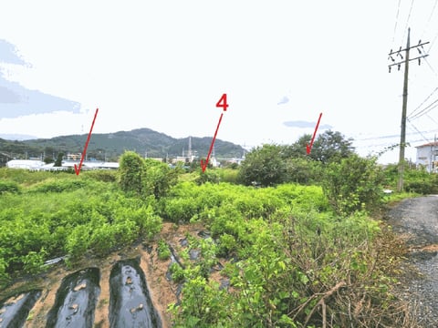물건 사진 38