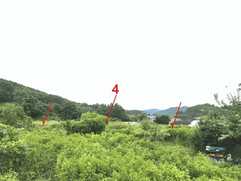 물건 사진 48