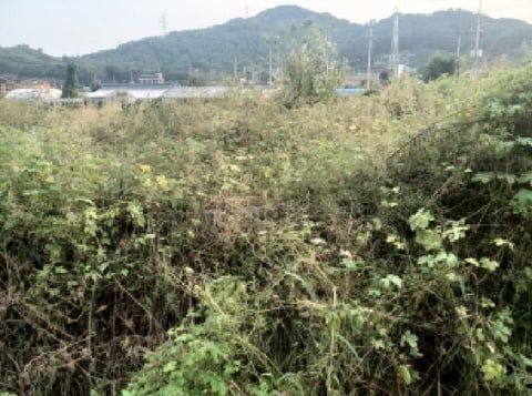 물건 사진 7