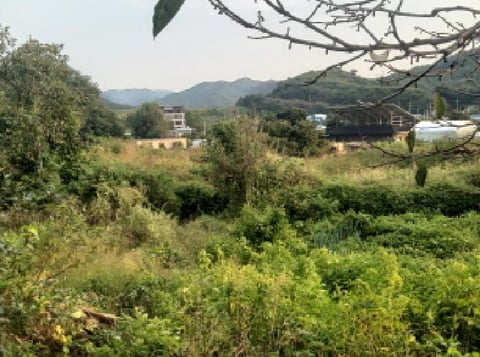 물건 사진 8